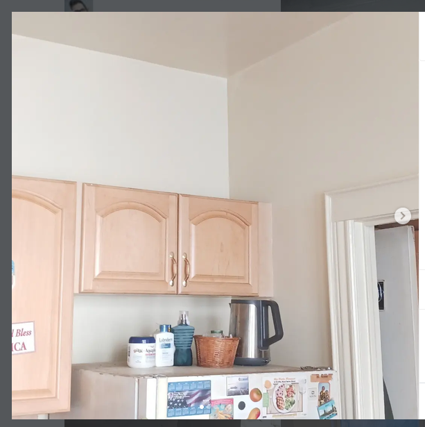 Kitchen Paint + Cabinet Installation in Richmond Hill, NY